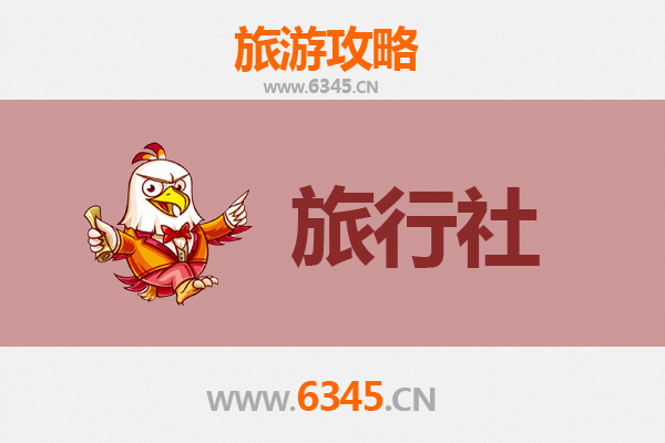林芝墨脱本地旅行社推荐：深度探索藏地秘境的完美指南